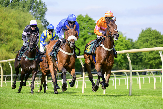 Horse Racing